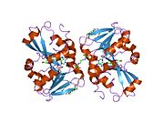 2h11: Amino-terminal Truncated Thiopurine S-Methyltransferase Complexed with S-Adenosyl-L-Homocysteine