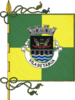Flag of Tábua