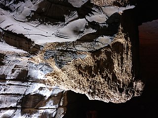 Ceiling of Belum Caves