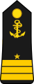 Lieutenant de vaisseau (Cameroon Navy)