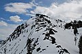Summit of Donner Peak, from northwest