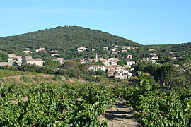 Faugères with vineyards in the foreground