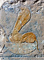 Wadjet depicted alongside Nekhbet on a block from the mortuary temple of Hatshepsut