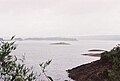 Bhadra Reservoir with River Tern Islands