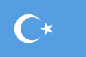Flag of East Turkistan