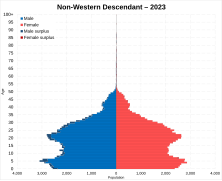 Non-Western descendant