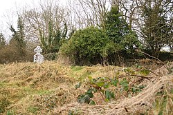Overgrown church ruin in Kilmaglish