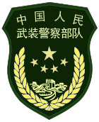 Sleeve badge of the Force