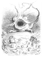 The Garden of Beast: from Scènes de la vie des animaux (1842)