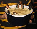 A blue ceramic dish containing a stargazy pie, with six fish poking out of a shortcrust pastry lid, looking skywards (from Culture of Cornwall)
