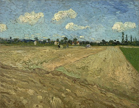 Ploughed fields ('The furrows')