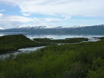 Abiskojåkka river and Torneträsk lake (Abisko national park) in June