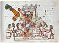 Codex Magliabechiano (141) [correct name]
