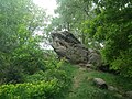 Farbfotografie in der Untersicht von einem Hügel mit einem kleinen Felsen an der Spitze. Der ovale Felsen ragt teilweise in die Höhe. Um ihn sind viele Bäume und Büsche.