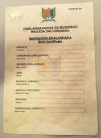 A Mogadishu birth certificate