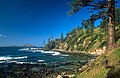 Landschaft auf der Norfolkinsel