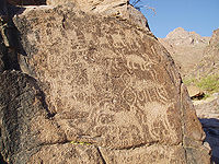 Petroglyphs in Superstition Wilderness (2007)