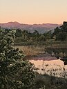 "The Pink Moment" on Chief Peak, as seen from across a vernal pool at Ojai Meadows Preserve.