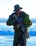 U.S. Navy SEAL with the SCAR-H STD (Mk 17)
