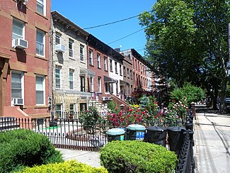 The "Gardens" in Carroll Gardens comes from the large front gardens in the Historic District and elsewhere in the neighborhood