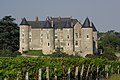 Schloss Luynes im Loiretal