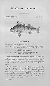 page of a book with a picture of a fish and text