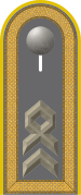 Dienstgradabzeichen auf der Schulterklappe der Jacke des Dienstanzuges für Heeresuniformträger der Fernmeldetruppe.
