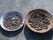 Dried korarima fruits from Aframomum corrorima, in preparation for making berbere