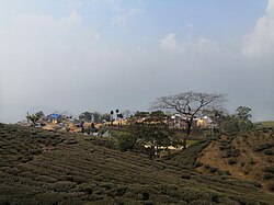Jyoti School Area, Laxmipur