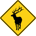 W11-20 Elk