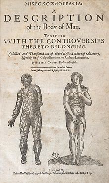 Title page of Helkiah's Crooke's text Microsmographiia: A Description of the Body of Man; underneath the title text are two naked, standing figures which face the viewer frontally; one figure is male and the other female; the male figure, whose upper torso is slightly turned to the right with its left hand hidden behind its back, is rendered to reveal the nervous system; the female figure's head is tilted to the right; its left-hand covers one breast and its right-hand covers its genitalia; the womb of the female figure is visible.