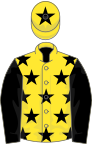 Yellow, black stars, sleeves and star on cap
