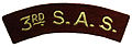 Arm patch of the 3rd French Special Air Service when it served in the British Army, now 3e R.C.P.
