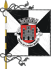 Flag of Castelo Branco