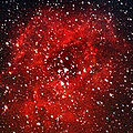 Rosettennebel (NGC 2237)