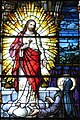 Stained glass at Saint Julie Billiart Catholic Church (Hamilton, Ohio)