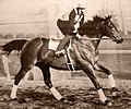 George Woolf and Seabiscuit