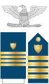 The eagle, shoulder boards, and dress blue sleeve stripes of a U.S. Coast Guard captain