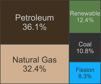 Petroleum, natural gas, and coal constitute the majority of U.S. energy in 2021, according to the Energy Information Agency (EIA).