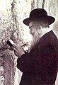 Grand Rabbi Avraham Yissachor Englard of Radzin praying at the Kosel