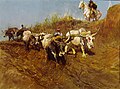 November plowing or Oxen at the plow (1914) (Views of the Roman countryside). Art collections of Fondazione Cariplo