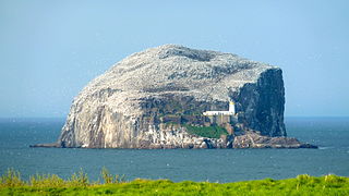 Bass Rock in the Firth of Forth