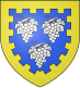 Coat of arms of Castéra-Vignoles