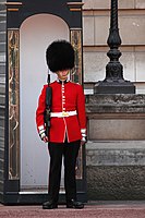 The iconic bearskins of the King's Guard at Buckingham Palace are made from the fur of American black bears.