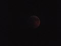 The red moon after the photo above (photo 41) at the end of totality