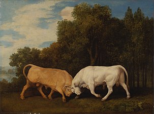 Bulls Fighting (1786), oil on panel, 61.6 x 82.6 cm., Yale Center for British Art