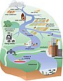 Image 15Anthropogenic influences on river systems. Examples are mainly from settings with a modest technological influence, especially in the period of about 10,000 to 4000 cal yr BP. (from River ecosystem)