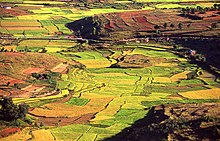 Reisfelder im Hochland von Madagaskar