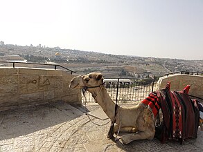 Jerusalem,  Israel