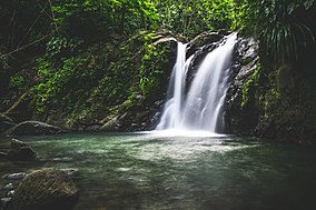 Natural regional park in Martinique with waterfall, in Le Diamant